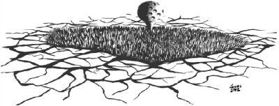 drawing of grass in a parched earth