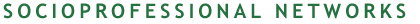 Socioprofessional Networks